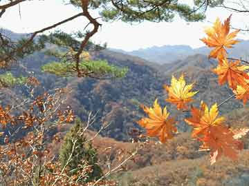 襄阳九州岛最新进展，打造生态宜居新典范